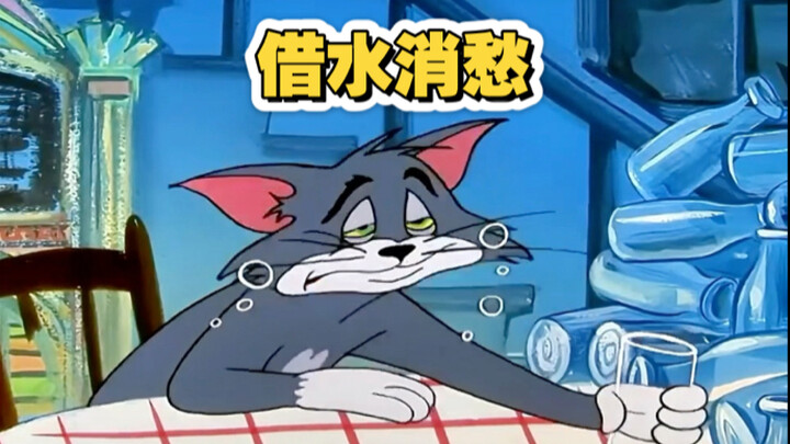 可怜的猫