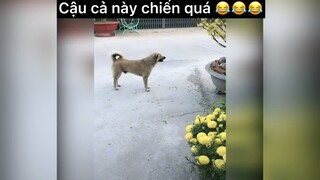 Cậu cả này chiến quá😂