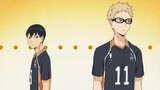 [Những chàng trai bóng chuyền] Tsukishima Hotaru VS Kageyama Tobio: Tôi không thể chịu đựng được bạn