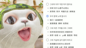 是你最可爱的西瓜小猫咪啦…～