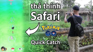 Thả lure ngập Safari Vinpearl và cách sử dụng kỹ thuật bắt Pokemon nhanh Quick Catch