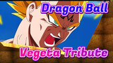 Dragon Ball|【AMV】To Memorize Vegeta：Vegeta Tribute [Children Sing]