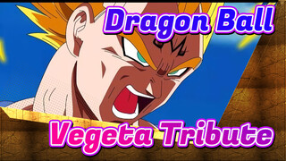 Dragon Ball|【AMV】To Memorize Vegeta：Vegeta Tribute [Children Sing]