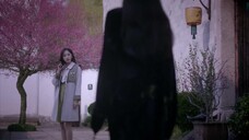 Sắc Màu Pháo Hoa Nhân Gian EP 11 [Sub Việt]
