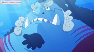 Harlan bậc thầy xu hướng - Review - Vai Trò Trong Tương Lai Của Jinbe #anime #schooltime