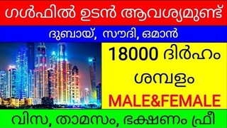 gulf  jobs Malayalam/gulf job vacancy 2022 malayalam/Dubai jobs/Saudi jobs/oman jobs /JOBS.WORLDWIDE