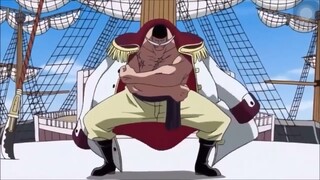 [ONE PIECE] người CHA được respect nhất Đại Hải Trình 🥺