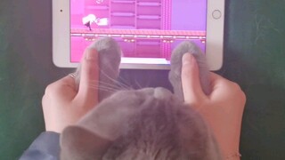 [Music Game|Muse Dash]Play a Song With Cat Paws