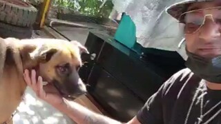 饮茶哥：我和我的狗朋友！Mis Amigos.
