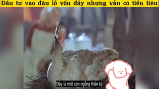 Chú ngỗng biết đẻ trứng vàng#anine#edit#clip#tt