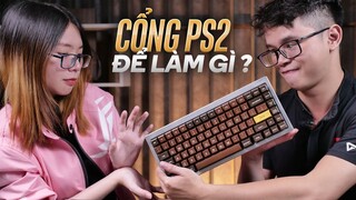 Hỏi đáp 87 Cổng PS/2 để làm gì | Các switch của Logitech