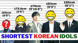 Shortest Korean Actors and Idols | Top 20