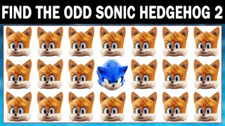 SONIC THE HEDGEHOG 2 Puzzls # 87 | Spot The Difference Sonic 2