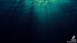 "SCARY UNDER WATER SOUNDS" listen carefully