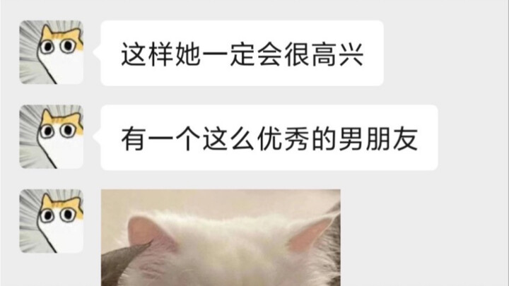 理工男可太会谈恋爱了