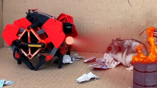 [4K] Hamster vs Robot [Hamster chạy trốn]