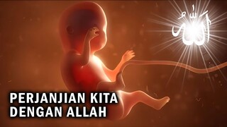 Masih Ingatkah Kita Perjanjian Dengan Allah? Perjalanan Dari Alam Ruh Sampai Ke Dalam Janin