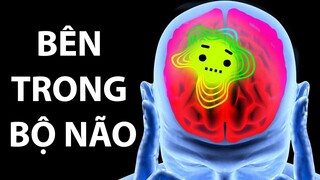 Hành Trình Bên Trong Bộ Não