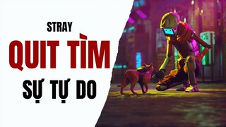 Cốt truyện Stray - Mĩ Diệu Giải Cứu Thế Giới | MT2T