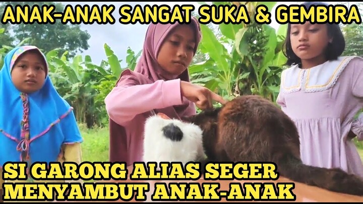 RUMAH KUCING ENDERIZA JADI TEMPAT WISATA EDUKASI ANAK-ANAK