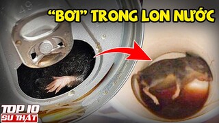 Nhện trong bánh quy Oreo - 10 Thứ DẢK Nhất Quả Đất được Tìm Thấy trong Đồ Ăn P2  ▶ Top 10 Thú Vị