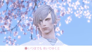 FF14/FINAL FANTASY 14 || Xiang さくら บุคคลชาย