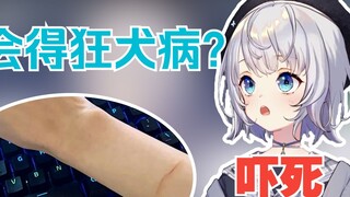 [Shizuku Ruru] Sakura girl was scratched by a stray cat and was scared when she heard that it had ra