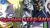 Rau Le Creuset|Gundam SEED AMV_1