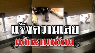 แจ้งความเลยอย่าให้ผู้ร้ายลอยนวล เห็นหน้าชัดแบบนี้หาตัวไม่ยาก @Awesome Videos