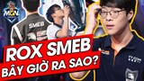 Story Of Smeb - Cựu Sao Số Một Thế Giới Giờ Ra Sao | MGN Esports