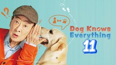 🇰🇷EP. 11 DOG KNOWS EVERYTHING (2024) | ENG SUB | HD 1080P | Comedy/Drama/SitCom