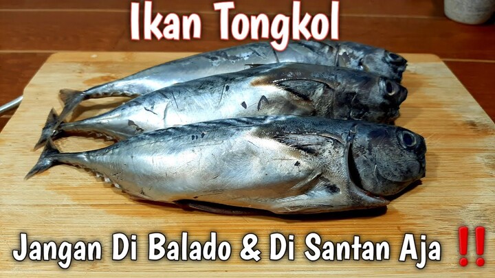 Sini Aku Ajarkan Cara Enak Masak Ikan Tongkol Dijamin Enak Banget ‼