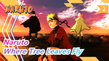 [Naruto] Where Tree Leaves Fly, The Fire Keeps Burning / Still Love it After 20 Years /Warning!_2