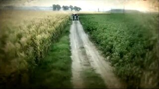 ASI 100