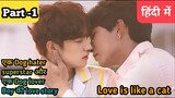 A superstar fall in love with a cute Boy Hindi explanation #blseries