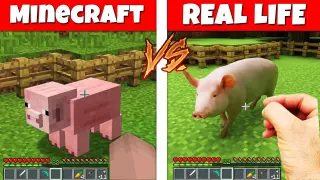 MINECRAFT vs REAL LIFE BATTLE / PIG COW WOLF ZOMBIE ENDERMAN ANIMATION