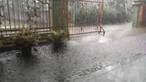 ASMR Rain (hujan 1)