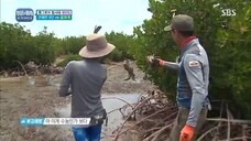 Law of the Jungle in Tonga [3] ENG SUB