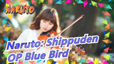 [Naruto: Shippuden] OP 'Blue Bird' - Bản cover violin siêu hay