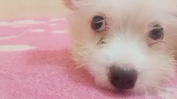 cute