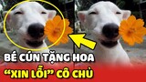 CON GÁI CƯNG CỦA MẸ - Bé cún TẶNG HOA XIN LỖI cô chủ vì lỡ quậy phá 😂 | Yêu Lu