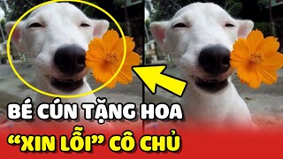 CON GÁI CƯNG CỦA MẸ - Bé cún TẶNG HOA XIN LỖI cô chủ vì lỡ quậy phá 😂 | Yêu Lu