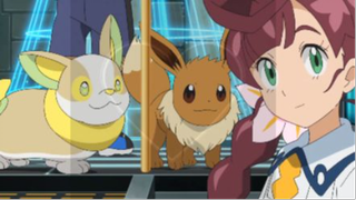 Eevee Cute Moments - POKEMON