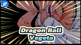 Dragon Ball Z|4 Crying Moment of Vegeta-The Pride Saiyan Prince_2