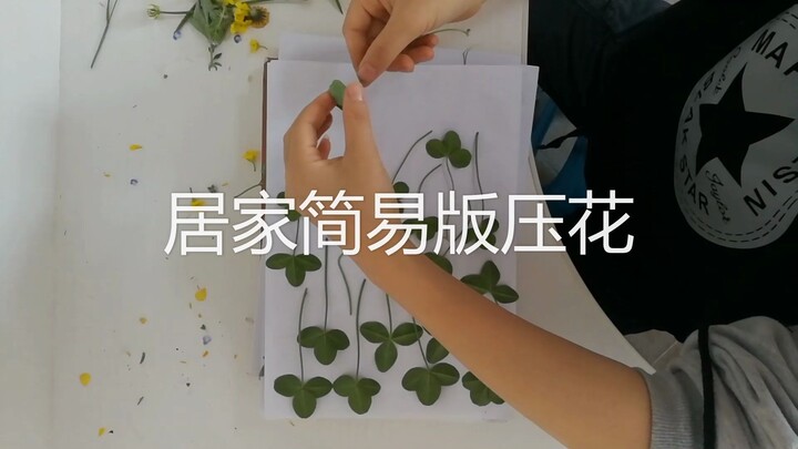 居家自制简易压花