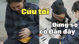 Đần Đen Thông Minh | Đừng Sợ Hãi nữa, Đần Sẽ Cứu Bạn 😥 Yêu Pets Official