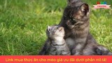 Tiếng mèo u gọi con cái.|| Âm thanh ngẫu nhiên.
