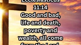 Daily Reflection February 28, 2025