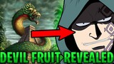 Monkey D. Dragon Devil Fruit, Bounty & Future! One Piece Theory & Analysis