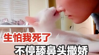 感冒了，亲妈怕传染猫，晚上给我隔离了，早上走出房间的一刻，猫像狗一样飞奔过来！不停舔我鼻头撒娇！太温暖了！